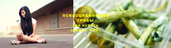 гидропоника Нязепетровск