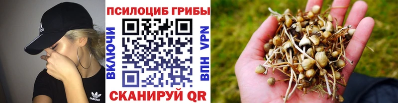 Псилоцибиновые грибы Psilocybine cubensis  Пыть-Ях 