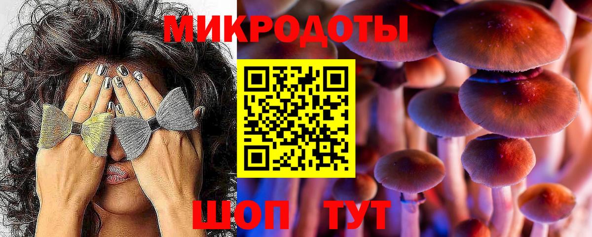 Псилоцибиновые грибы Cubensis Пыть-Ях